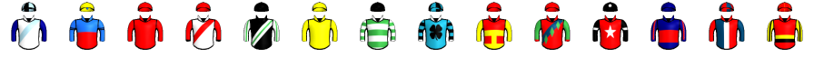 Runner silk