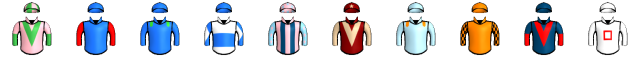 Runner silk