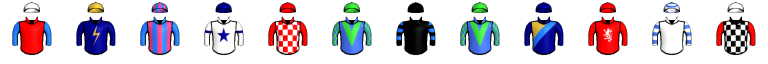 Runner silk