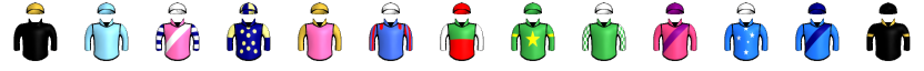Runner silk