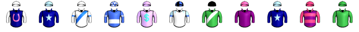 Runner silk
