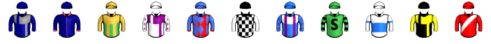 Runner silk