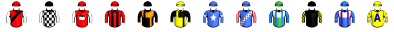 Runner silk