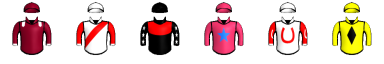 Runner silk