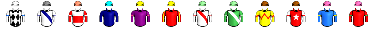 Runner silk