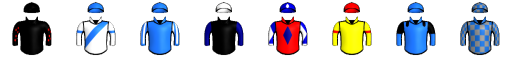 Runner silk