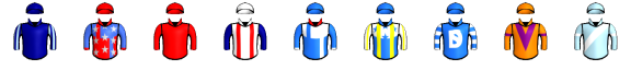 Runner silk