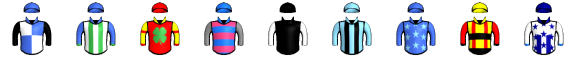 Runner silk