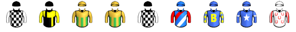 Runner silk