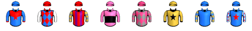 Runner silk
