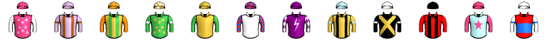 Runner silk