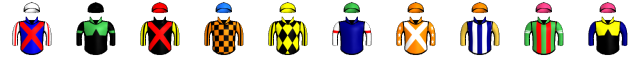 Runner silk