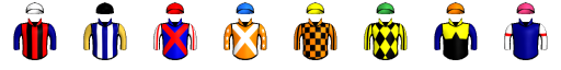 Runner silk