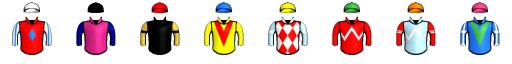 Runner silk