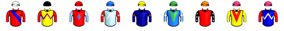 Runner silk