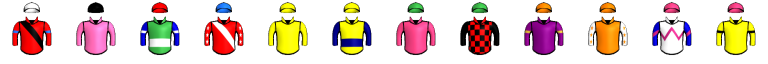 Runner silk