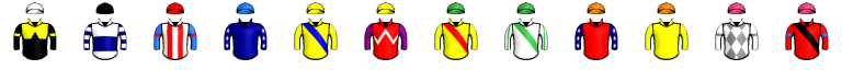 Runner silk