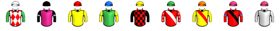 Runner silk
