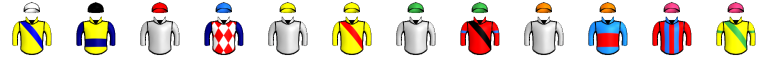 Runner silk