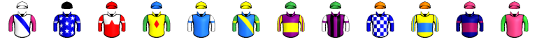Runner silk