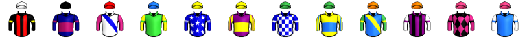 Runner silk
