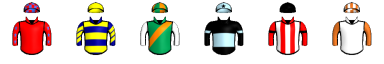 Runner silk