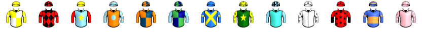 Runner silk