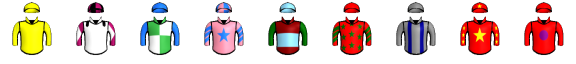 Runner silk