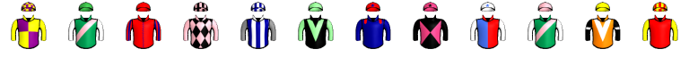 Runner silk