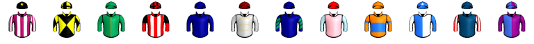 Runner silk