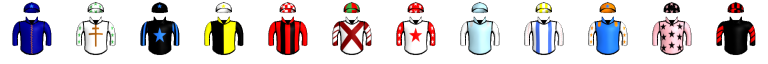 Runner silk