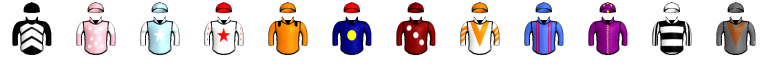 Runner silk