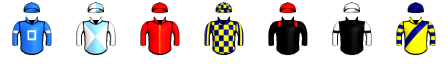 Runner silk