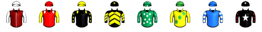 Runner silk