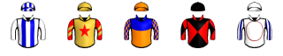 Runner silk