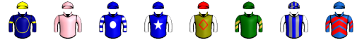 Runner silk