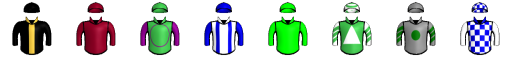 Runner silk