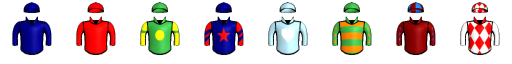 Runner silk
