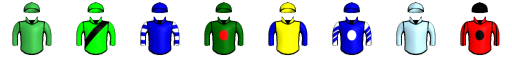 Runner silk