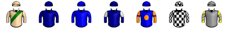 Runner silk