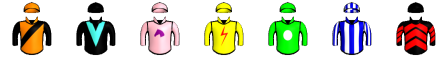 Runner silk