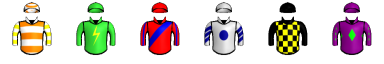 Runner silk