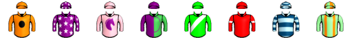 Runner silk