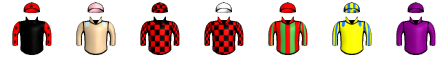 Runner silk