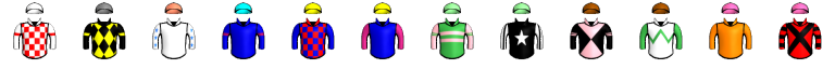 Runner silk