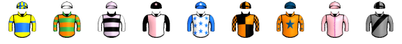 Runner silk