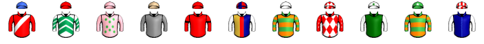 Runner silk