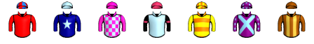Runner silk