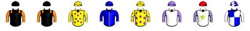Runner silk