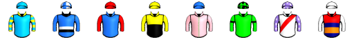 Runner silk